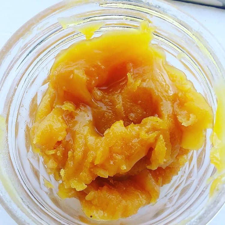 Critical Plus Strain Terp Sauce Hybrid