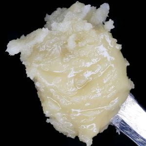 Papaya Fumez Live Rosin