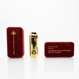 ACE ULTRA - DISPOSABLE RECHARGEABLE VAPE CART - 2G (2000MG)