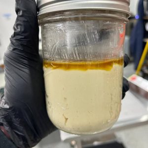 Banana Conda Live Rosin