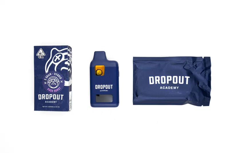 DROPOUT ACADEMY - DISPOSABLE RECHARGEABLE VAPE CART - SUGAR RESIN - 3GM (3000MG) - Image 2
