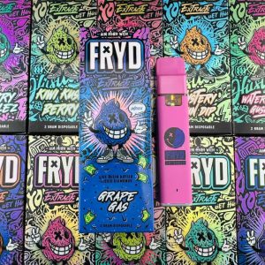 FRYD 2G DISPO 1 pack (25 Units)