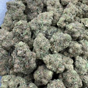 Scottie Pippen Kush (Number 33)