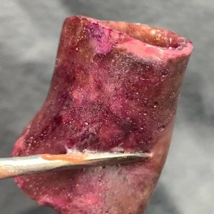 Tropicana Cookies hash