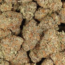 Granddaddy Purple Strain